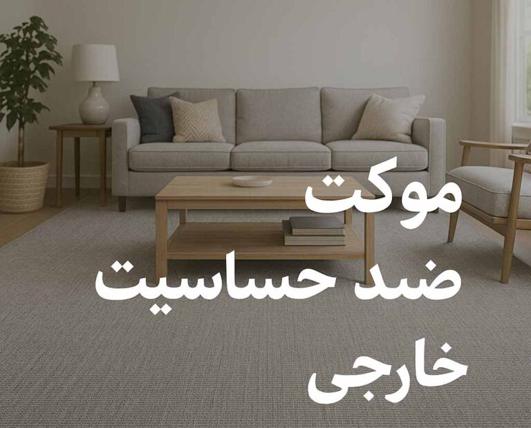 موکت ضد حساسیت خارجی