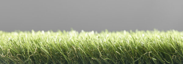 چمن مصنوعی Castor